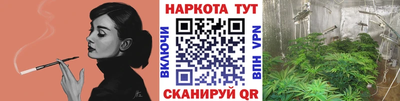 МАРИХУАНА Кингисепп